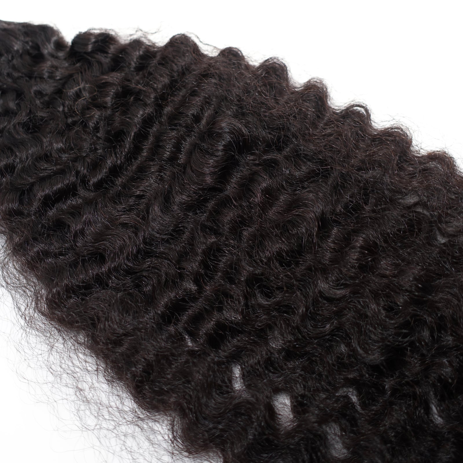 Burmese Curly Bundle Deals