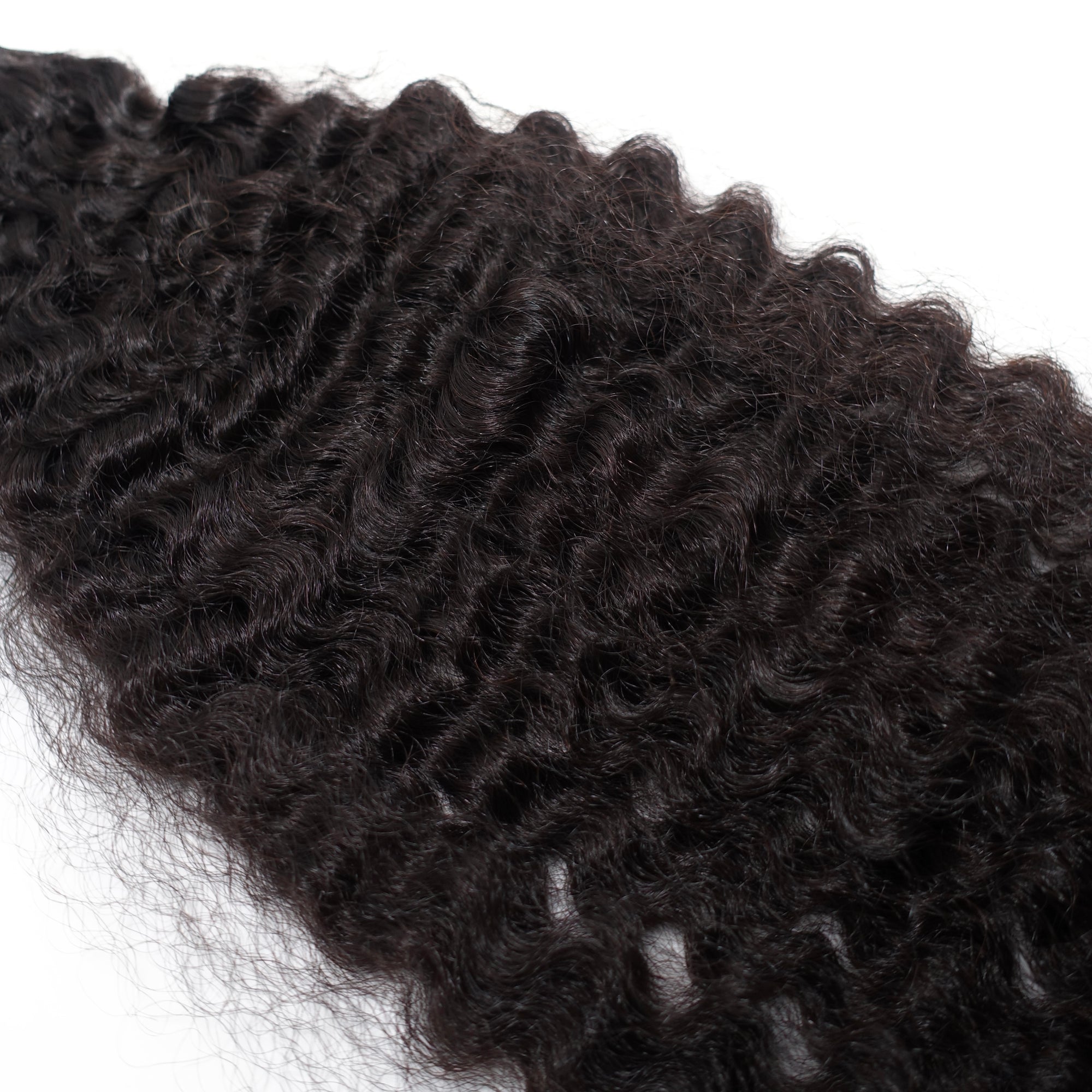 Burmese Curly Bundle Deals