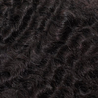 Burmese Curly Bundle Deals