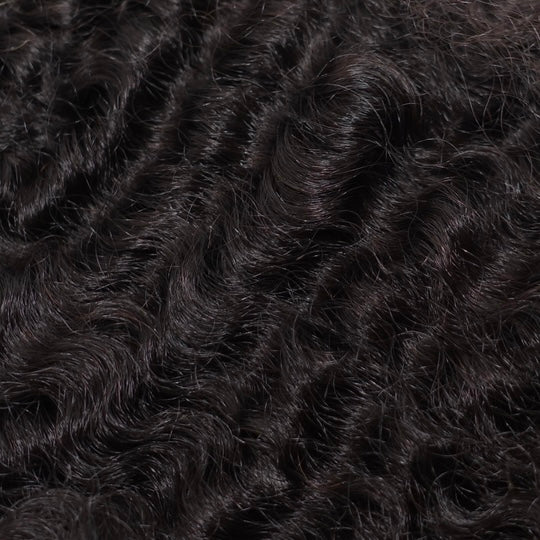 Burmese Curly