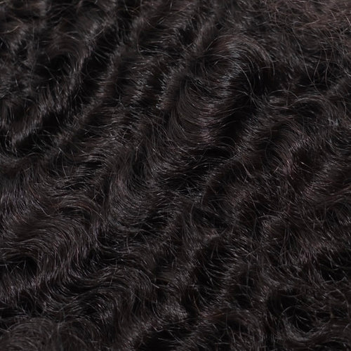 Burmese Curly