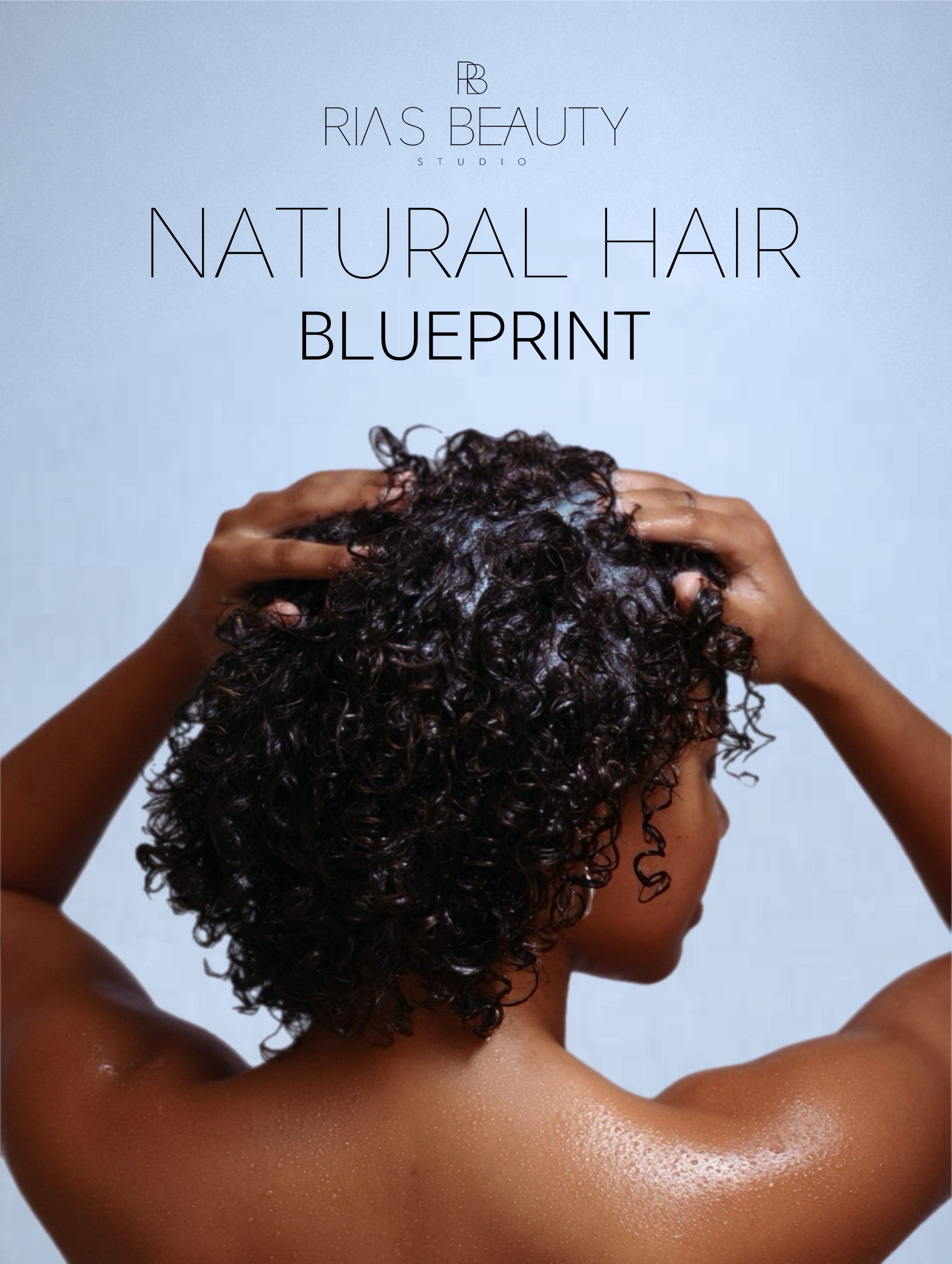 Natural Hair Blueprint